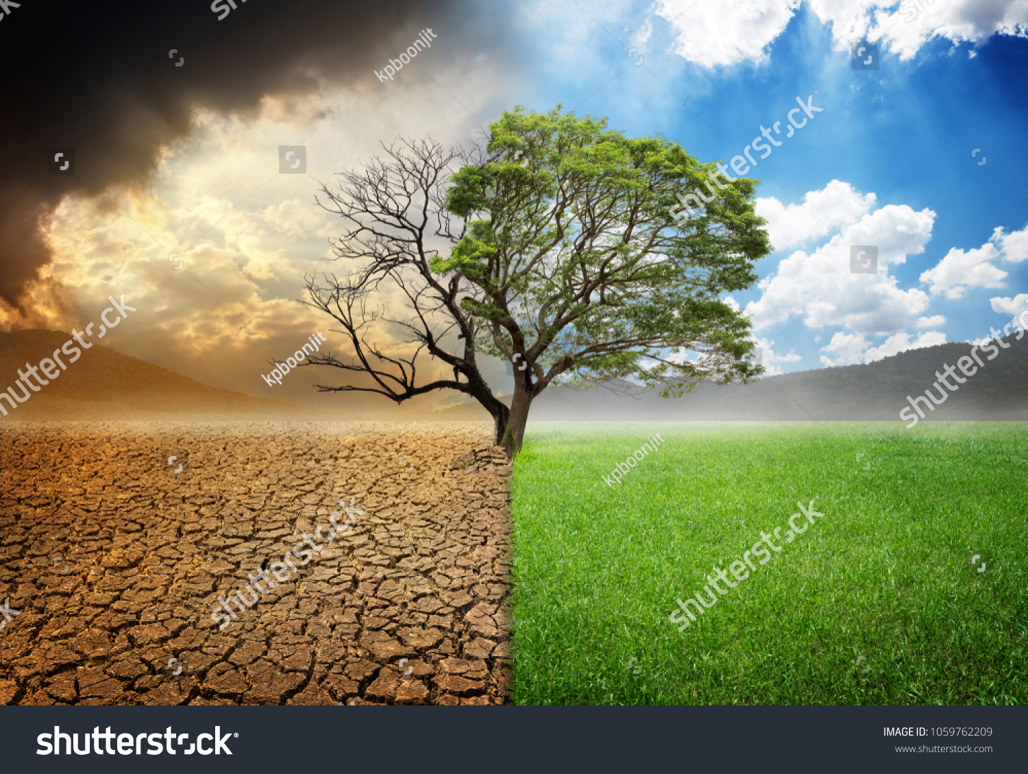 stock-photo-environmental-and-global-warming-concepts-live-and-dead-big-tree-1059762209.jpg